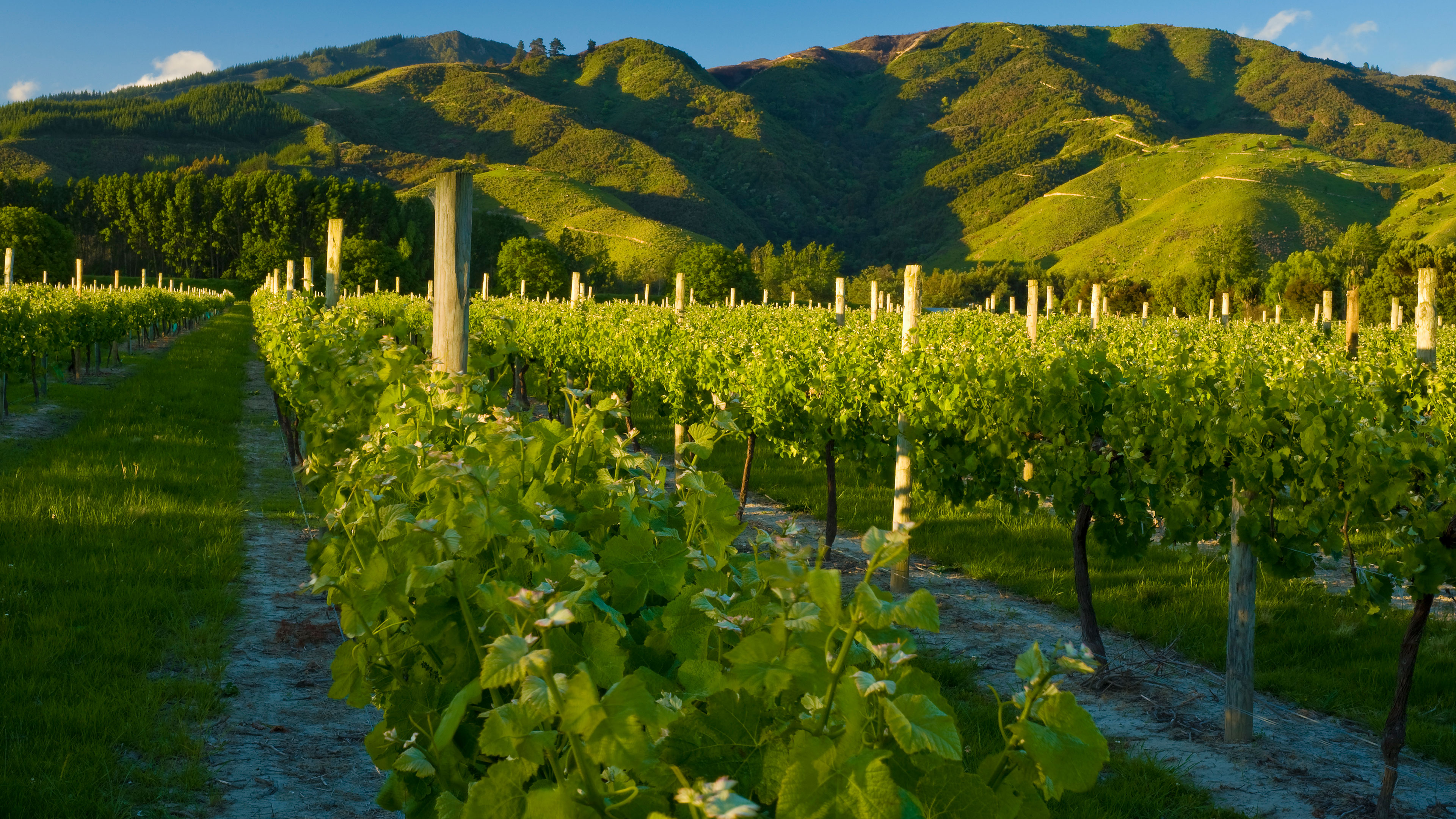 Timer Smart Deal: TR 610 TOP3 Free Timer Setting